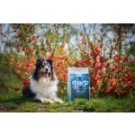 Marp Natural Senior and Light - s bílou rybou 2kg