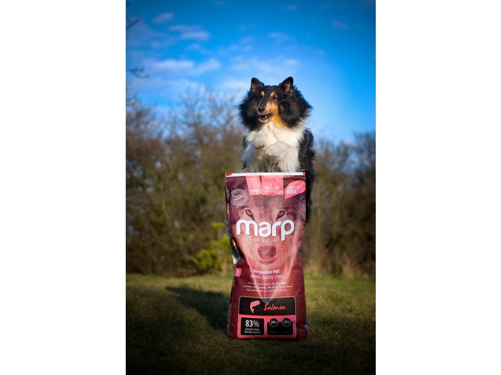 Marp Holistic Salmon - lososové bez obilovin 12kg