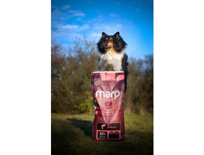 Marp Holistic Salmon - lososové bez obilovin 12kg
