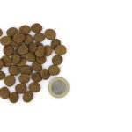 Marp Holistic Turkey S&L - krůtí senior&light bez obilovin 17kg