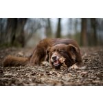 Marp Treats Buffalo Crunchies - sušená průdušnice 50g