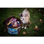 Štěněčí balíček s krmivem 1ks