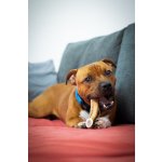 Marp Holistic - Jelení paroh, velikost L (120 - 160g)