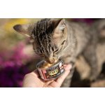 Marp Salmon Filet konzerva pro kočky s filety z lososa 12x70g