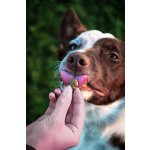 Marp Holistic – Lososové pamlsky se lněným semínkem bez obilovin 150g