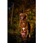 Marp Holistic – Kachní pamlsky s kelpou bez obilovin 150g