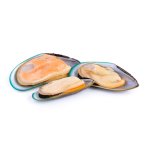 Marp Holistic - Novozélandská mušle 100g