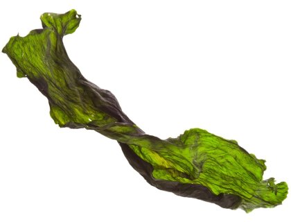 Marp Holistic - Kelpa 500g