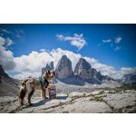 Marp Holistic White Mix - pamlsky pro psy 500g