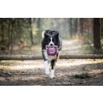 Marp Holistic Fish Mix - pamlsky pro psy 500g