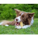 Marp Holistic - Horská tyčinka L (70 - 79g)