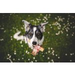 Marp Holistic - Horská tyčinka L (70 - 79g)