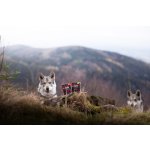 Marp Holistic krůta s kachnou tetrapak 375g