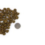 Marp Holistic Indoor CAT - pro dospělé a starší kočky 0,5kg