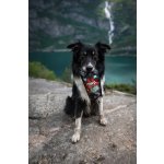 Marp vývar z divokého losa 230ml