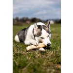 Marp Holistic - Kávové dřevo L (160 - 200g)