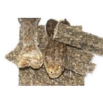 Marp Holistic kost z tresčí kůže