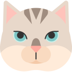 Kočky