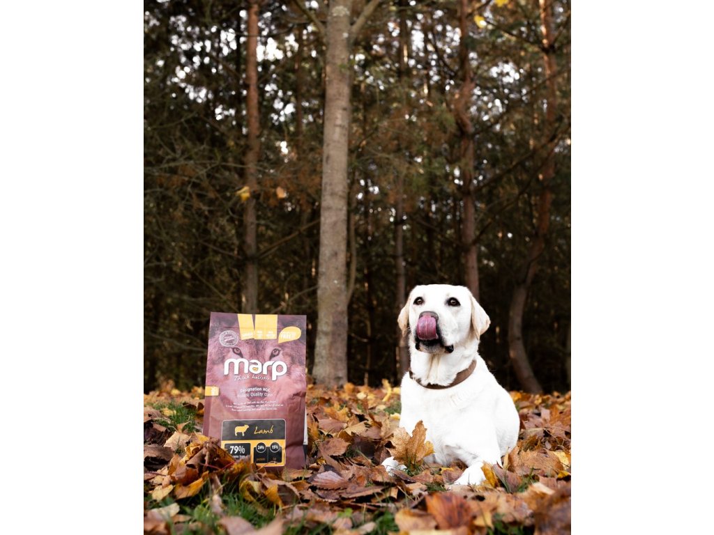 Marp Holistic Lamb - jehněčí bez obilovin 2kg