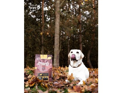 Marp Holistic Lamb - jehněčí bez obilovin 2kg