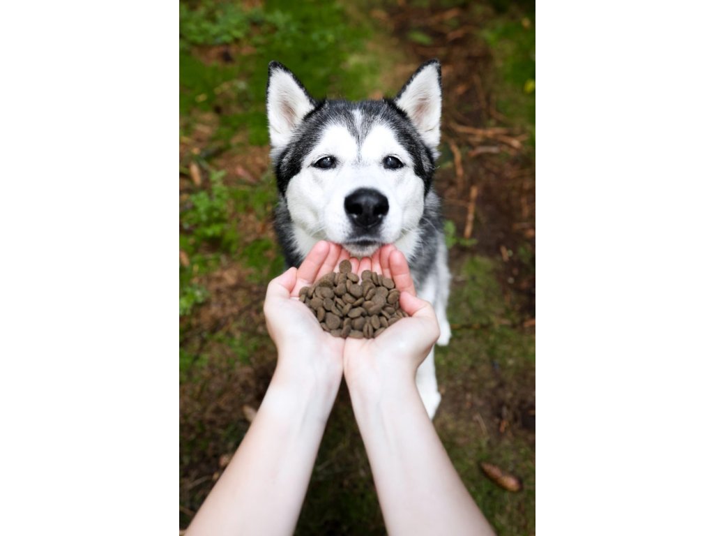 Marp Holistic Lamb - jehněčí bez obilovin 17kg