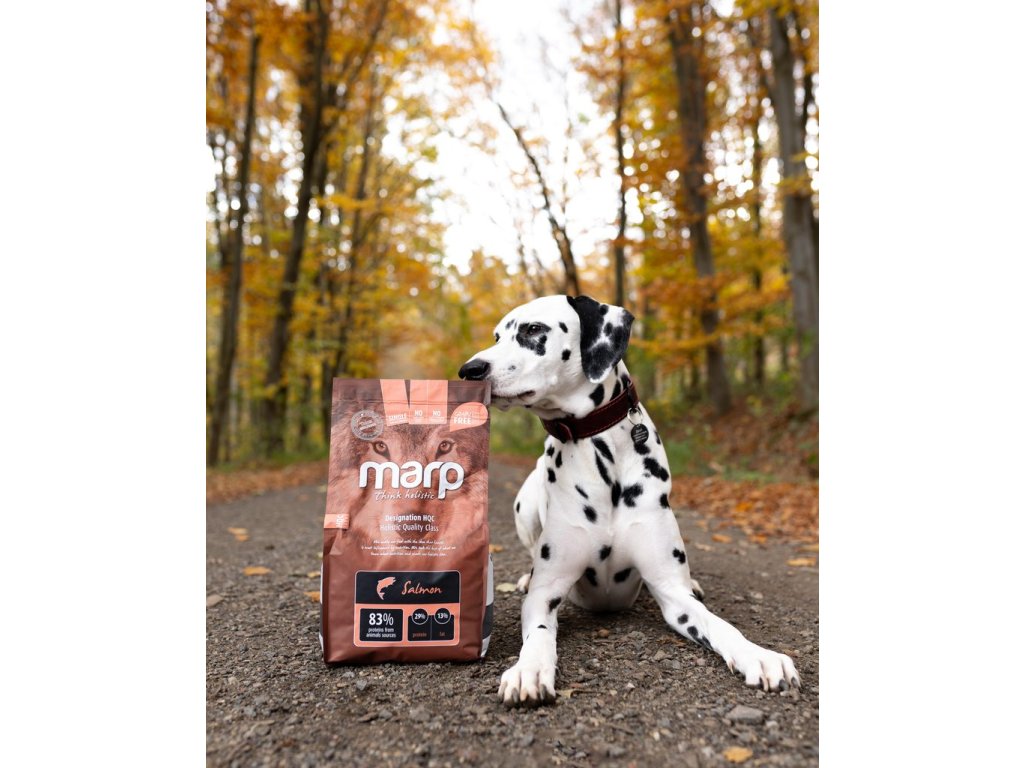 Marp Holistic Salmon - lososové bez obilovin 2kg