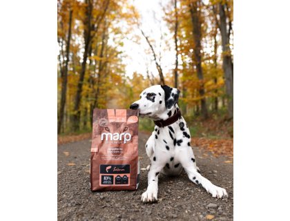 Marp Holistic Salmon - lososové bez obilovin 2kg