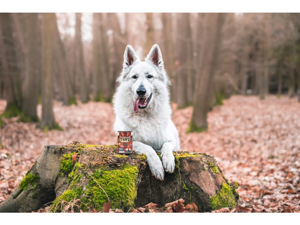 Marp Wild Boar konzerva pro psy s divočákem 6x400g