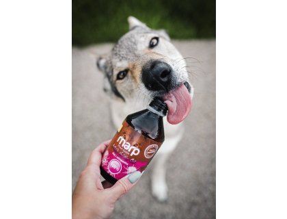 Marp Holistic - Ostropestřcový olej 500ml