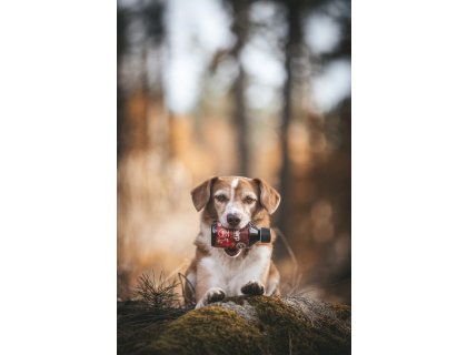 Marp Holistic - Lněný olej 250ml