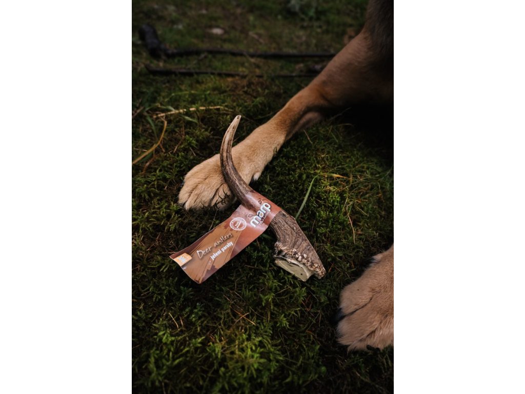 Marp Holistic - Jelení paroh, velikost XL (160 - 200g)