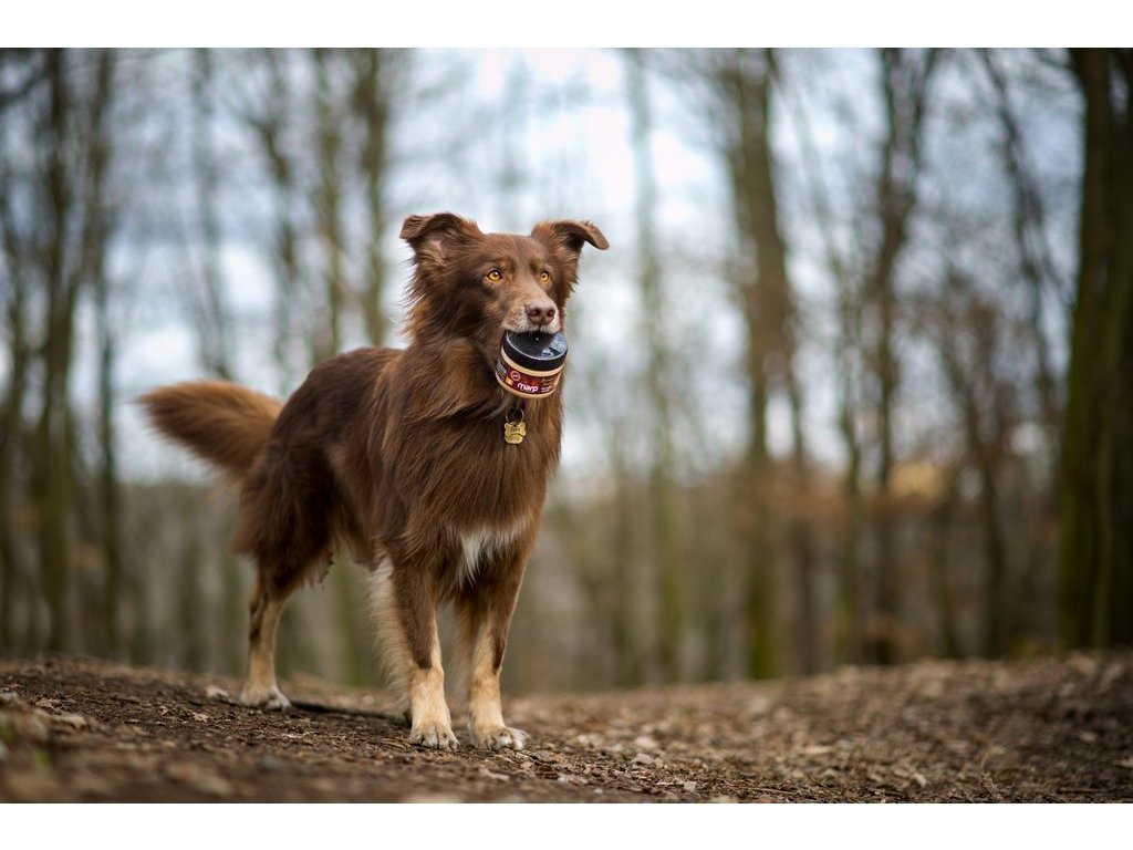 Marp Holistic - Pivovarské kvasnice 100g