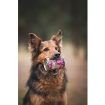 Marp Variety Single krůta konzerva pro psy 400g