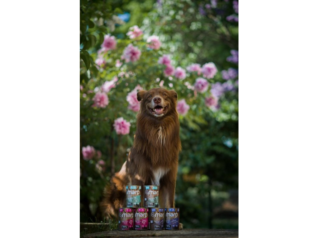 Marp Variety Single krůta konzerva pro psy 6x400g