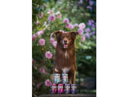 Marp Variety Single králík konzerva pro psy 6x400g