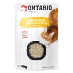 Polévka Ontario kuře 40g