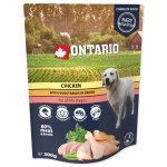 Kapsička Ontario kuře se zeleninou ve vývaru 300g