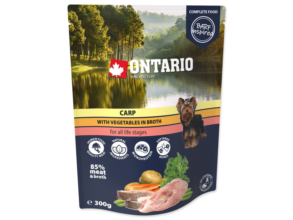 Kapsička Ontario kapr se zeleninou ve vývaru 300g