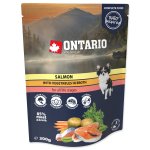 Kapsička Ontario losos se zeleninou ve vývaru 300g