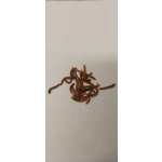 Potemník moučný 0,1L