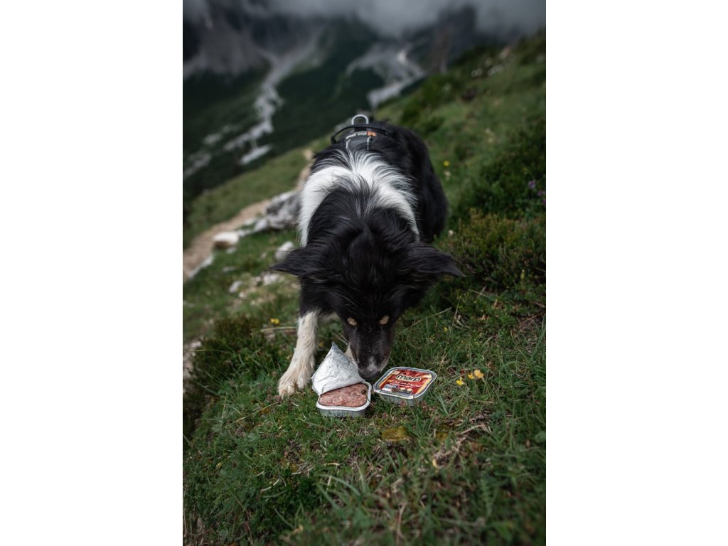 Marp Lamb vanička pro psy s jehněčím 16x100g