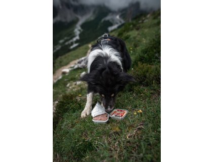 Marp Lamb vanička pro psy s jehněčím 16x100g