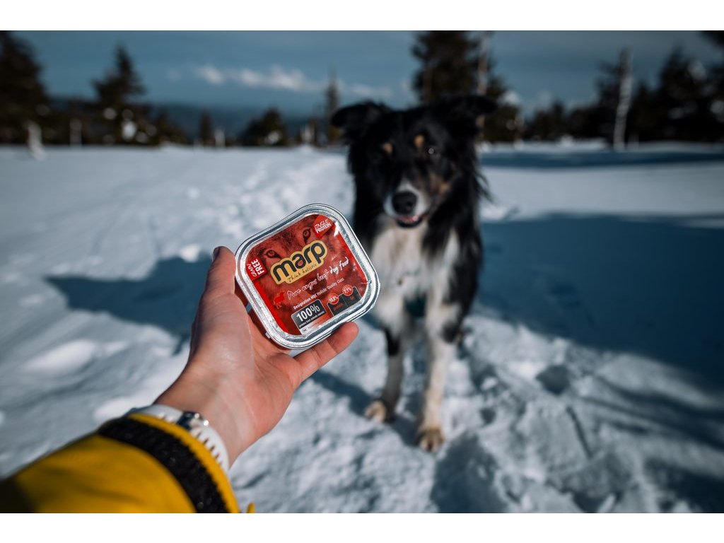 Marp Angus Beef vanička pro psy s hovězím 100g