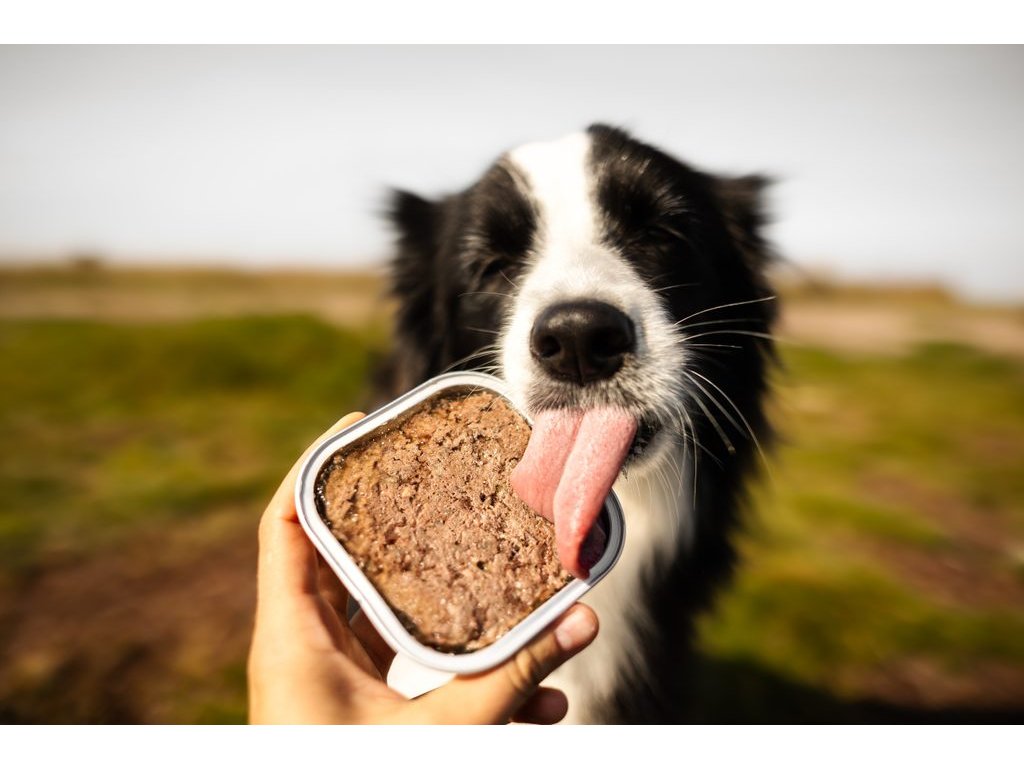 Marp Lamb vanička pro psy s jehněčím 100g