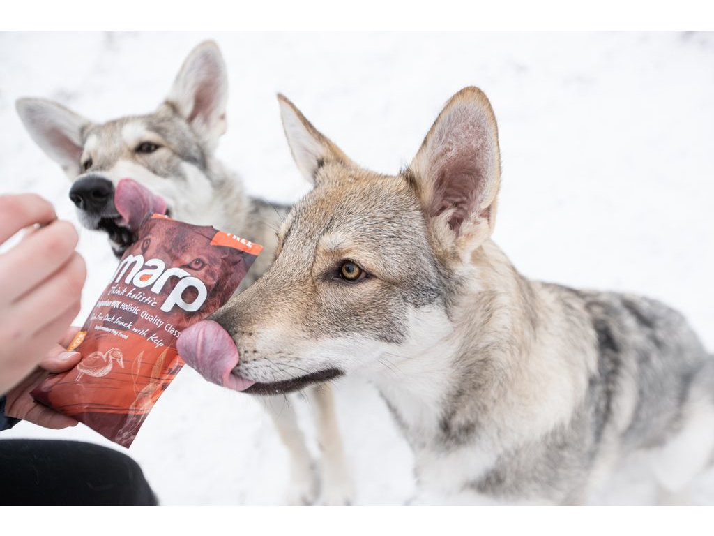 Marp Holistic – Kachní pamlsky s kelpou bez obilovin 150g