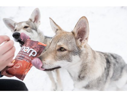 Marp Holistic – Kachní pamlsky s kelpou bez obilovin 150g